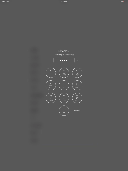 Key in your PIN and press OK.