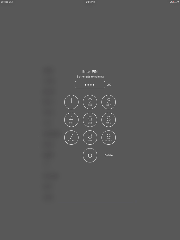 Key in your PIN and press OK.