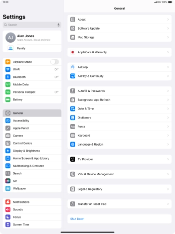Press Transfer or Reset iPad.
