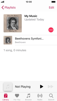 Go to the required category or playlist and press the required audio file.