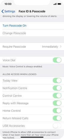 Press Turn Passcode On and key in a phone lock code of your own choice twice.