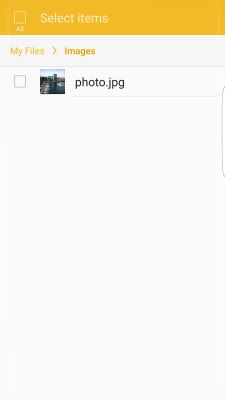 Press the field next to the required file.