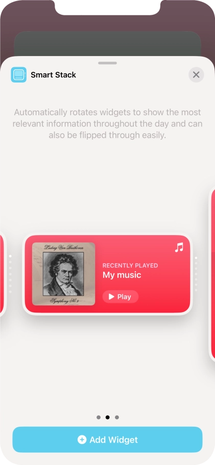 Slide your finger right or left on the screen to select the required widget size.