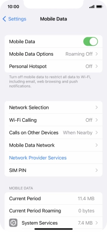 Press Mobile Data Options.