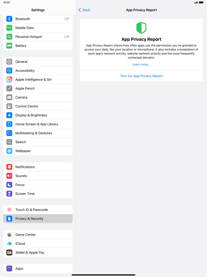 Press Turn On App Privacy Report to turn on the function.