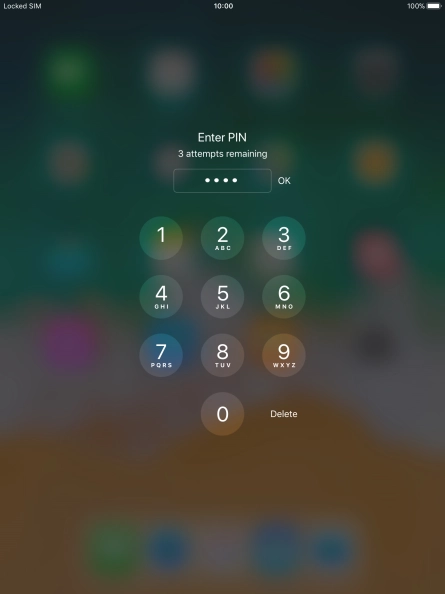 Key in your PIN and press OK.