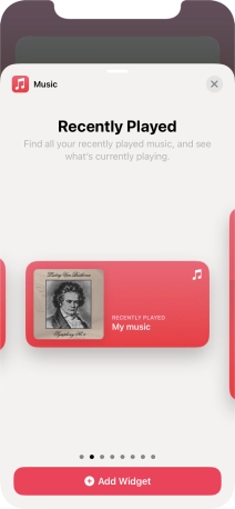 Slide your finger right or left on the screen to select the required widget size.