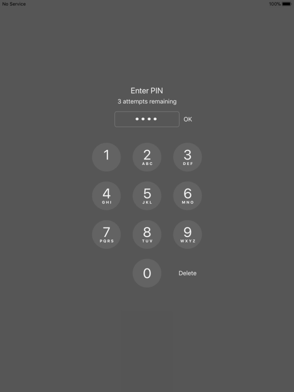 Key in your PIN and press OK.