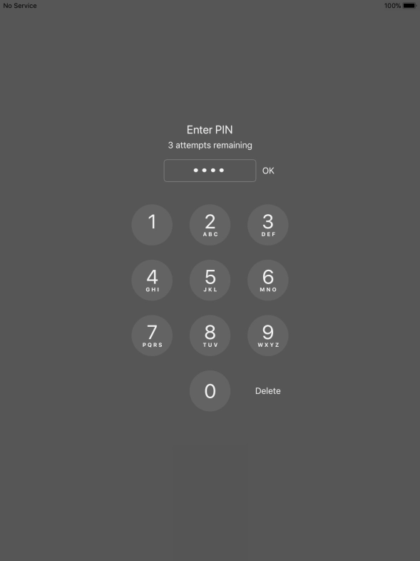Key in your PIN and press OK.