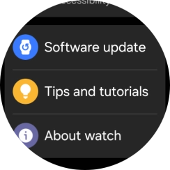 Press Software update.