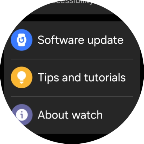 Press Software update.