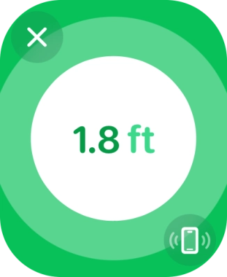 Follow the instructions on the screen to find your phone.