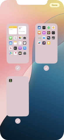 Press the fields below the required home screen pages to select or deselect them.