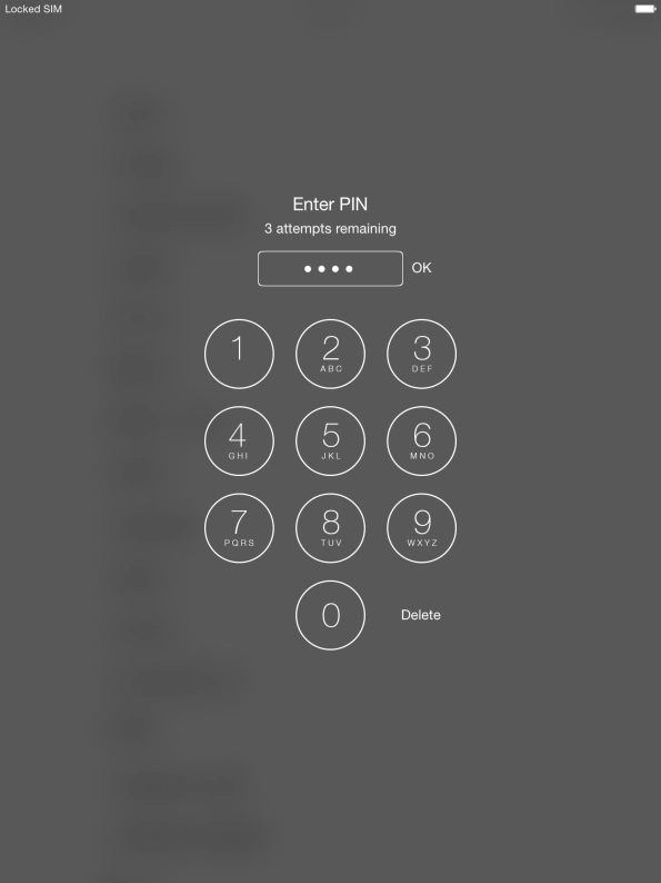 Key in your PIN and press OK.