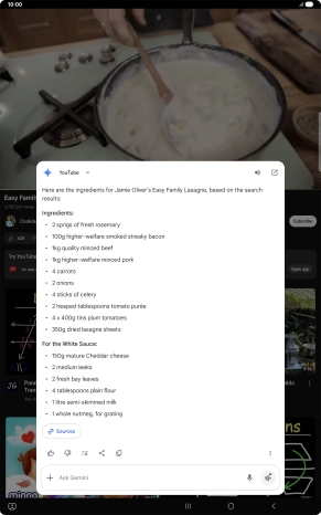 The answer from Gemini to your question is displayed.