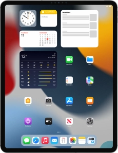 Apple iPad Pro 12.9 (2021)