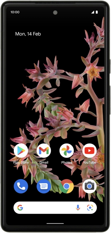 Google Pixel 6