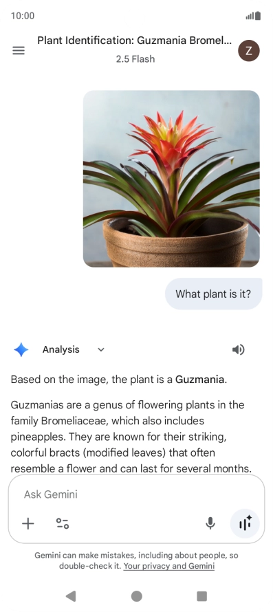 Follow the instructions on the screen to type or speak the required question. You can also attach pictures or documents and ask questions to them.