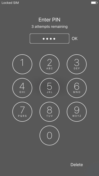 Key in your PIN and press OK.