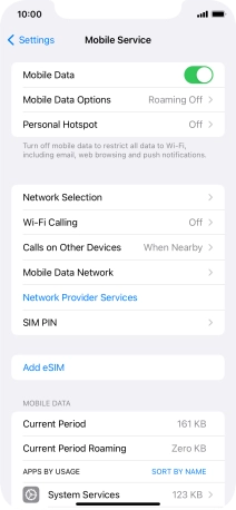Press Mobile Data Options.