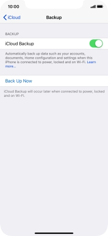 Press Back Up Now and wait while the phone memory is backed up.