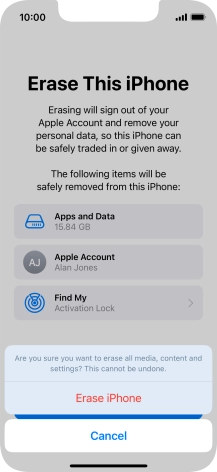 Press Erase iPhone.