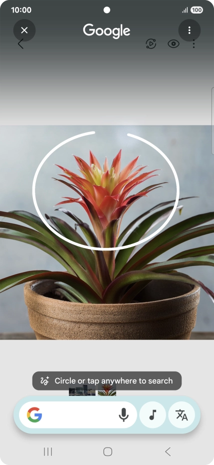 Draw a circle around the required object on the picture and wait for the search results.