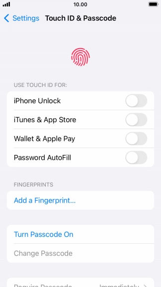 Press Turn Passcode On and key in a phone lock code of your own choice twice.