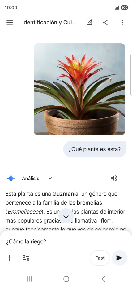 Sigue las indicaciones de la pantalla para escribir o decir en alto más preguntas y continuar la conversación.