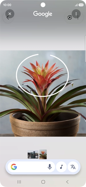 Rodea con un círculo el elemento deseado de la fotografía y espera a que aparezcan los resultados de búsqueda.