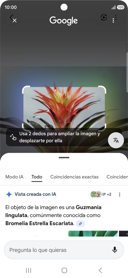 Sigue las indicaciones de la pantalla para utilizar los resultados de búsqueda.