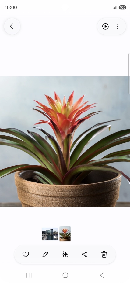 Desplázate a la fotografía deseada.