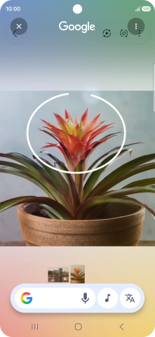 Draw a circle around the required object on the picture and wait for the search results.