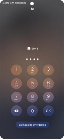 Si es necesario desbloquear la tarjeta SIM, introduce el código PIN y pulsa OK.