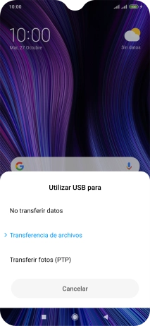Pulsa Transferencia de archivos.