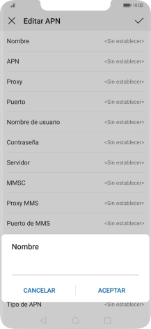 Introduce Vodafone Internet y pulsa ACEPTAR.