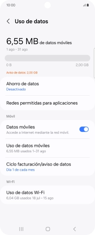 El consumo total de datos se visualiza ahora en la pantalla.