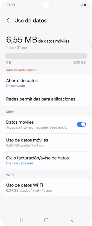 El consumo total de datos se visualiza ahora en la pantalla.