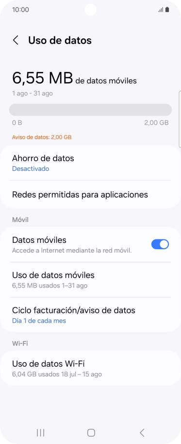 El consumo total de datos se visualiza ahora en la pantalla.