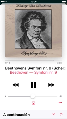 Pulsa el icono de reproducción aleatoria para activar o desactivar la función.