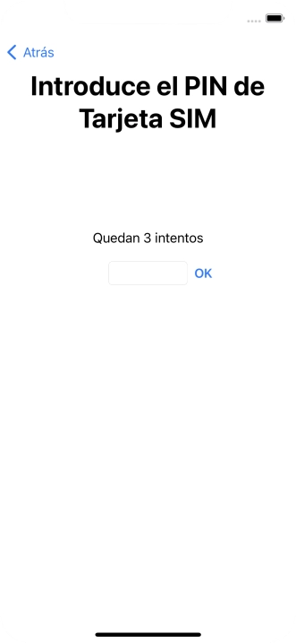 Si es necesario desbloquear la tarjeta SIM, introduce el código PIN y pulsa OK.