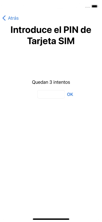 Si es necesario desbloquear la tarjeta SIM, introduce el código PIN y pulsa OK.
