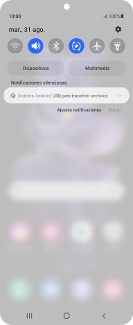 Pulsa Sistema Android.