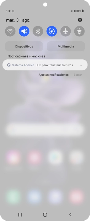 Pulsa Sistema Android.