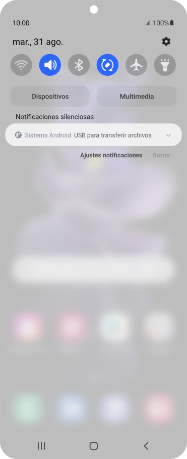 Pulsa Sistema Android.