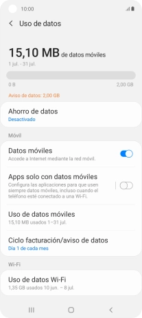 El consumo total de datos se visualiza ahora en la pantalla.