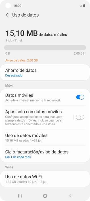 El consumo total de datos se visualiza ahora en la pantalla.