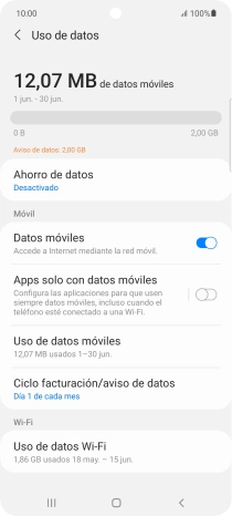 El consumo total de datos se visualiza ahora en la pantalla.