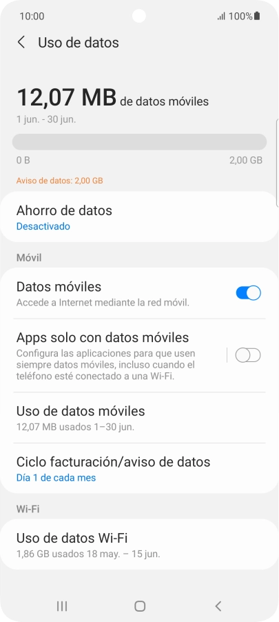 El consumo total de datos se visualiza ahora en la pantalla.