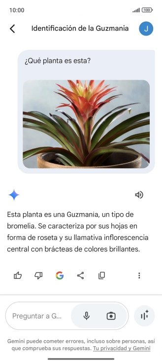 Sigue las indicaciones de la pantalla para escribir o decir en alto la pregunta deseada. Puedes adjuntar fotografías o documentos y hacer preguntas acerca de ellos.